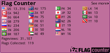 Flag Counter