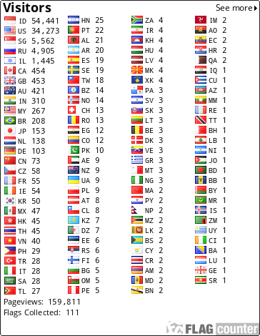Flag Counter