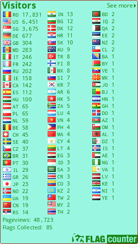 Flag Counter