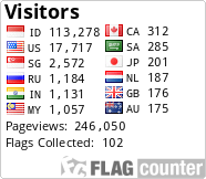 Flag Counter