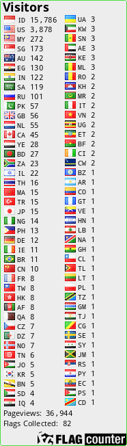 Flag Counter