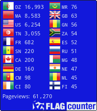 Flag Counter