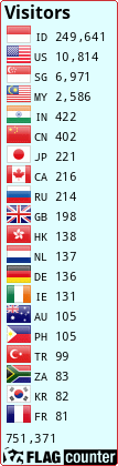 Flag Counter
