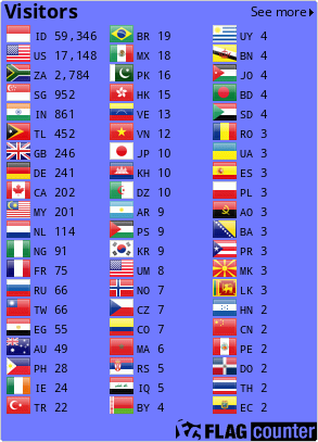 Flag Counter