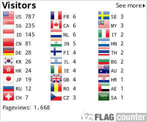 Flag Counter