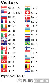 Flag Counter