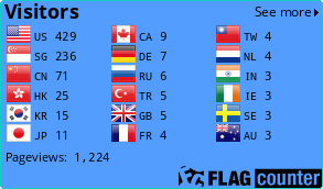 Flag Counter