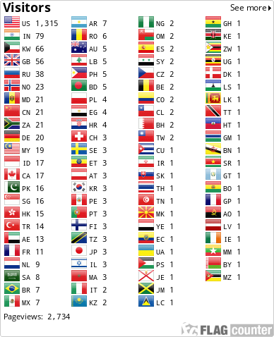 Flag Counter