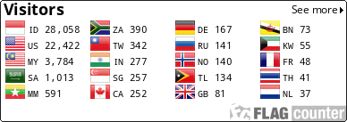 Flag Counter