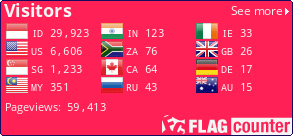 Flag Counter