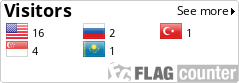 Flag Counter