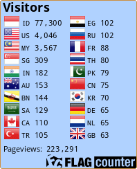 Flag Counter