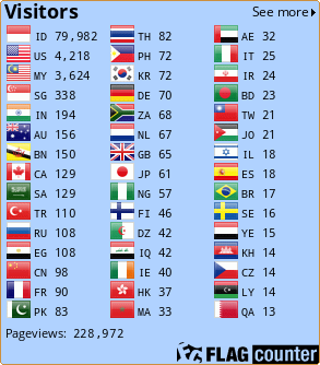 Flag Counter