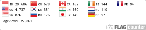 Flag Counter