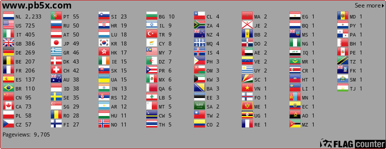 Flag Counter