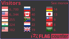 Flag Counter