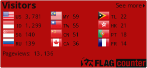 Flag Counter