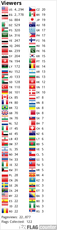Flag Counter