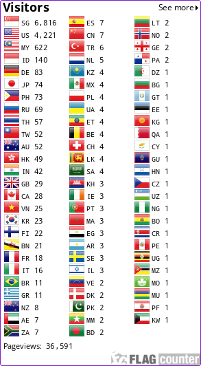 Flag Counter
