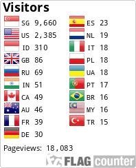 Flag Counter