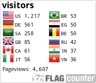 Flag Counter