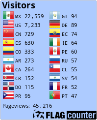 Flag Counter
