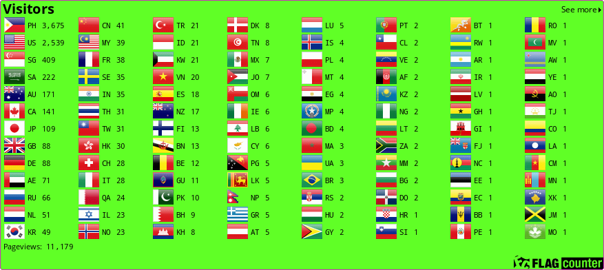 Flag Counter