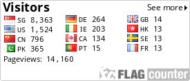 Flag Counter