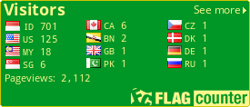 Flag Counter