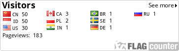 Flag Counter
