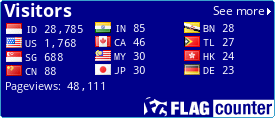 Flag Counter