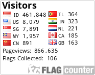Visitor Flag Counter