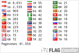 Flag Counter