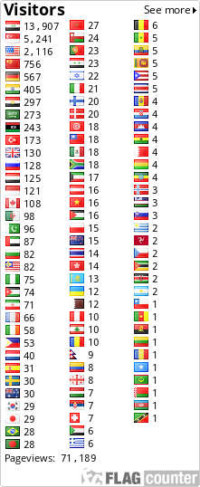 Flag Counter