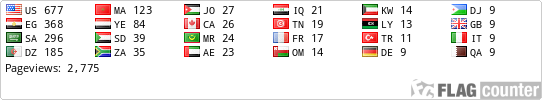 Flag Counter