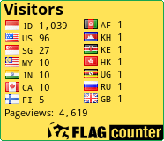 Flag Counter
