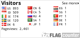 Flag Counter