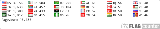 Flag Counter