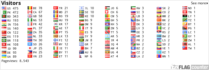 Flag Counter