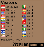 Flag Counter