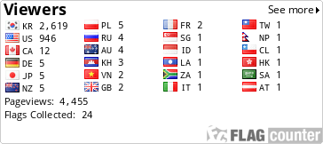 Flag Counter