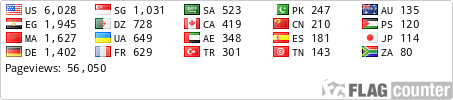 Flag Counter