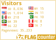 Flag Counter