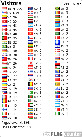 Flag Counter