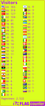 flag counter