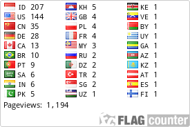 Flag Counter