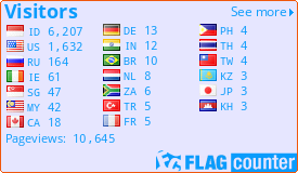 Flag Counter