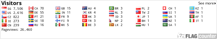 Flag Counter