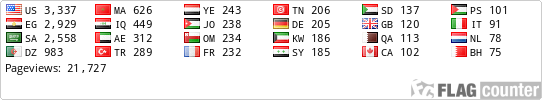 Flag Counter