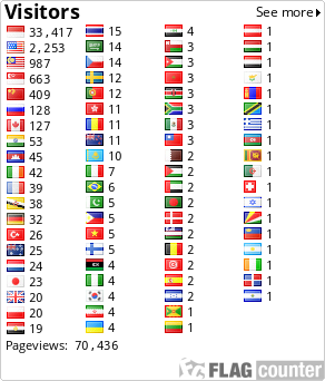 Flag Counter